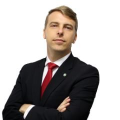 Professor Werner Rech